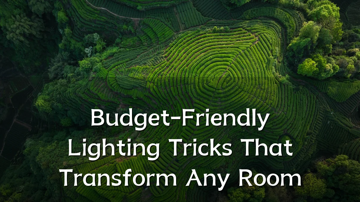 Budget-Friendly Lighting Tricks That Transform Any Room