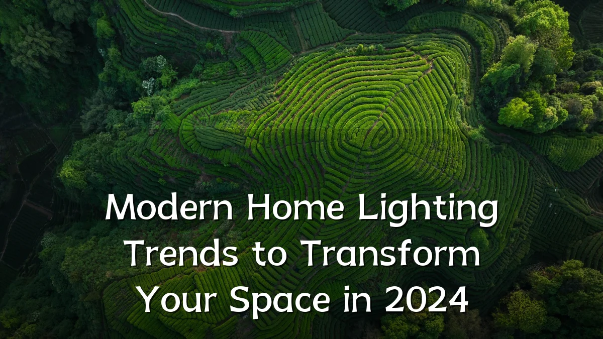 Modern Home Lighting Trends to Transform Your Space in 2024