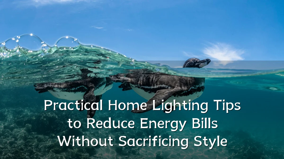Practical Home Lighting Tips to Reduce Energy Bills Without Sacrificing Style