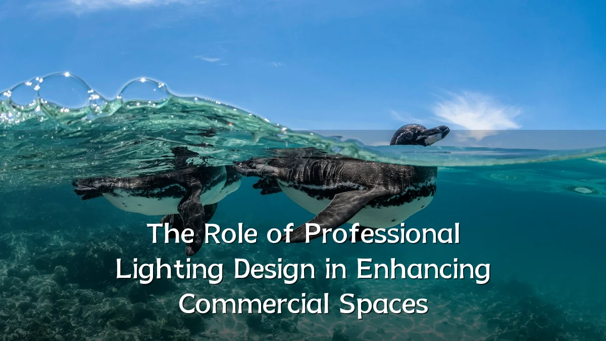 The Role of Professional Lighting Design in Enhancing Commercial Spaces
