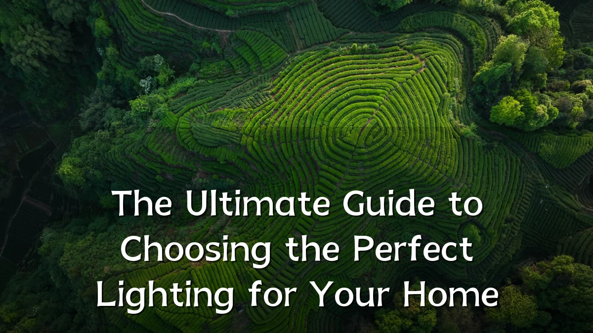 The Ultimate Guide to Choosing the Perfect Lighting for Your Home