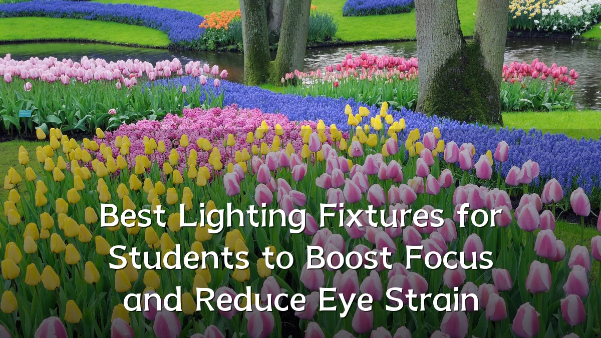 Best Lighting Fixtures for Students to Boost Focus and Reduce Eye Strain