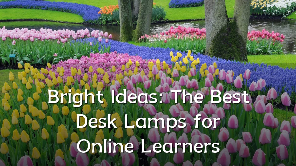 Bright Ideas: The Best Desk Lamps for Online Learners