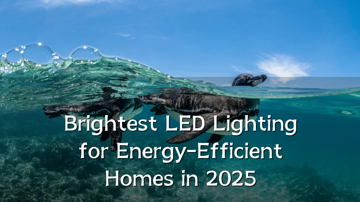 Brightest LED Lighting for Energy-Efficient Homes in 2025