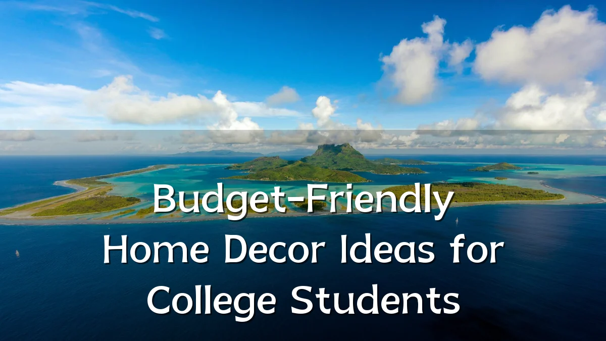 Budget-Friendly Home Decor Ideas for College Students