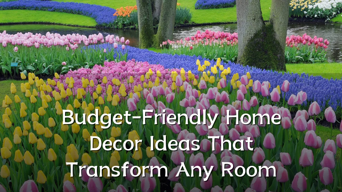 Budget-Friendly Home Decor Ideas That Transform Any Room