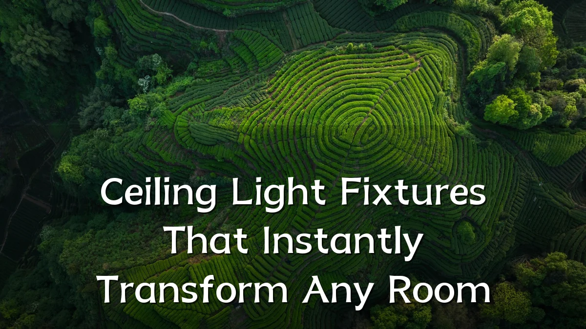 Ceiling Light Fixtures That Instantly Transform Any Room