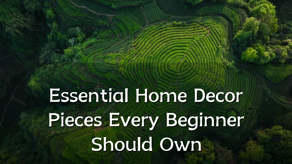 Essential Home Decor Pieces Every Beginner Should Own