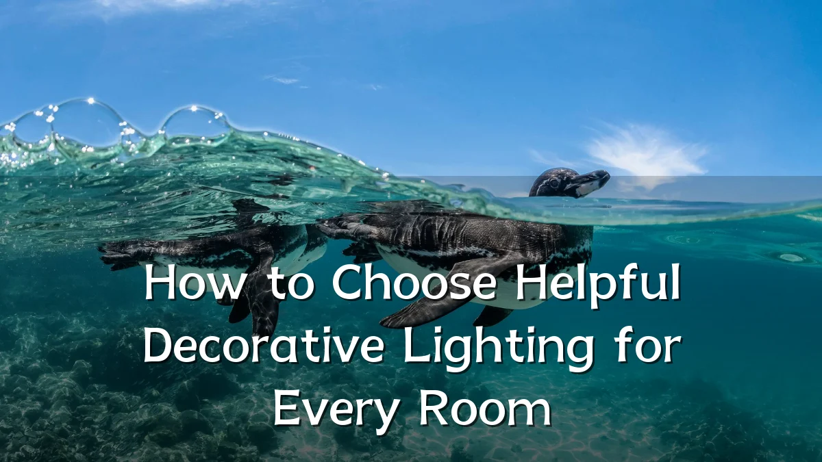 How to Choose Helpful Decorative Lighting for Every Room