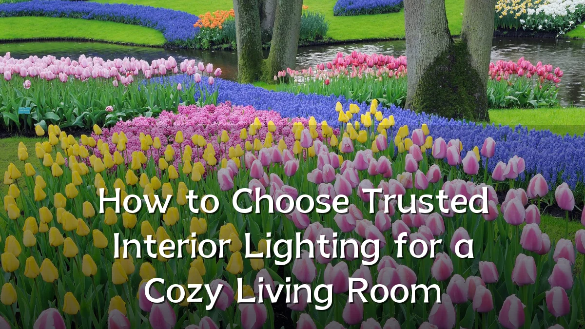 How to Choose Trusted Interior Lighting for a Cozy Living Room