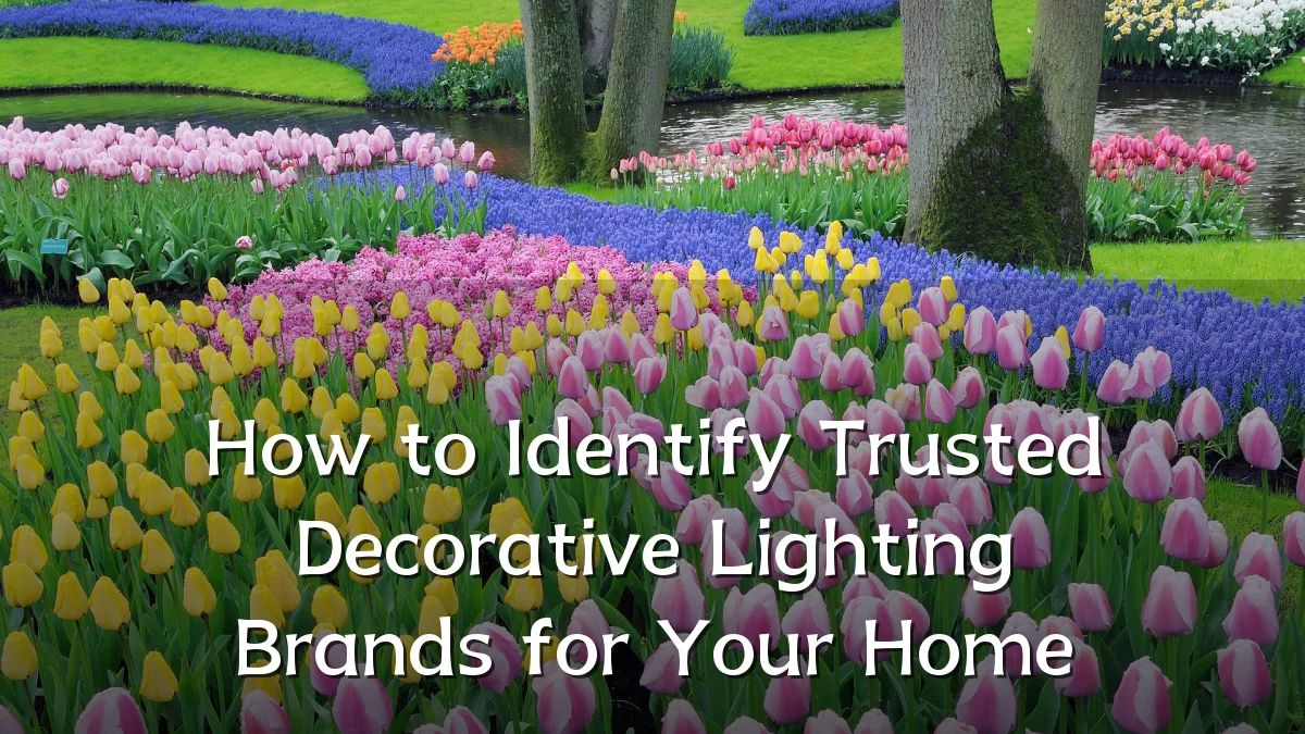 How to Identify Trusted Decorative Lighting Brands for Your Home