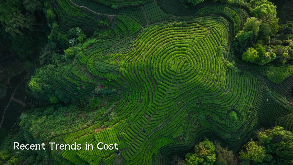 Recent Trends in Cost
