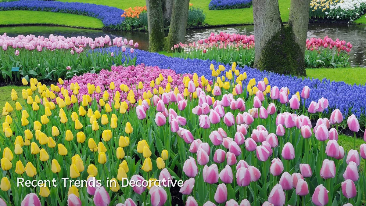 Recent Trends in Decorative