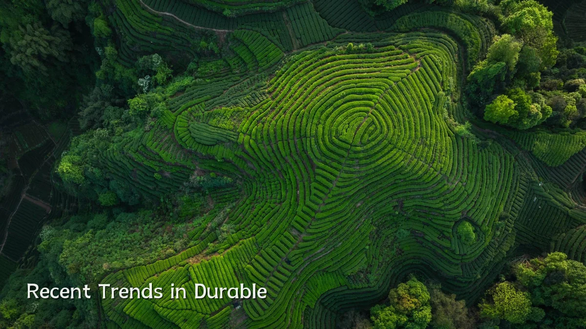 Recent Trends in Durable
