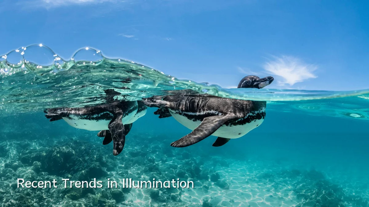 Recent Trends in Illumination