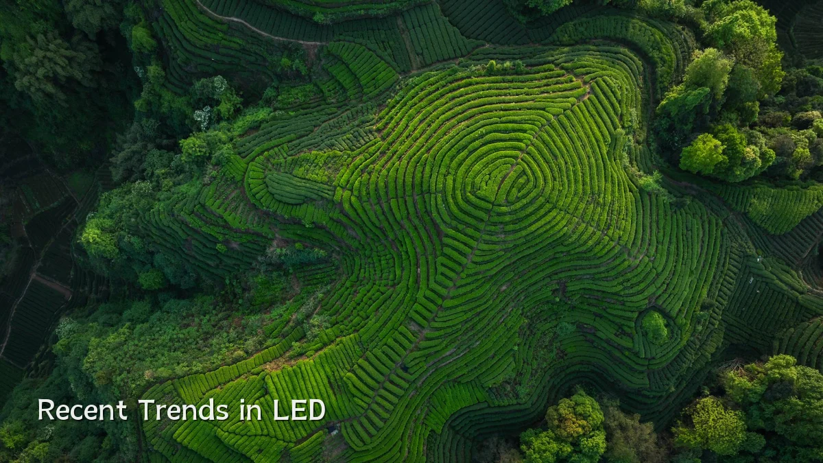 Recent Trends in LED
