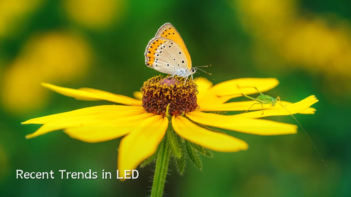 Recent Trends in LED