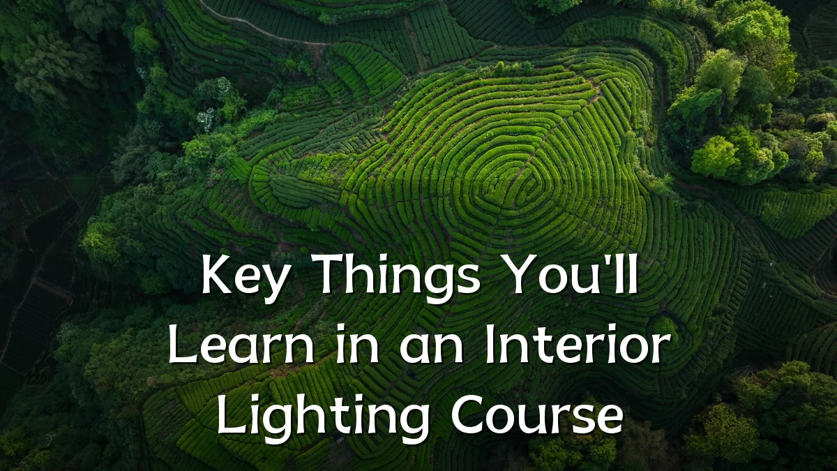 Key Things You'll Learn in an Interior Lighting Course