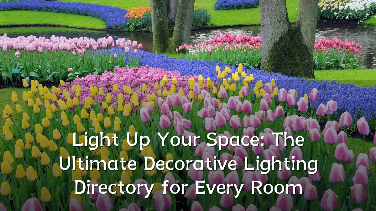 Light Up Your Space: The Ultimate Decorative Lighting Directory for Every Room