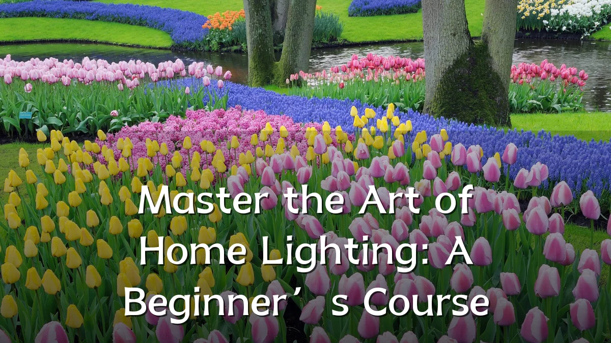 Master the Art of Home Lighting: A Beginner’s Course