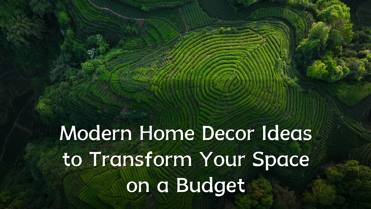 Modern Home Decor Ideas to Transform Your Space on a Budget
