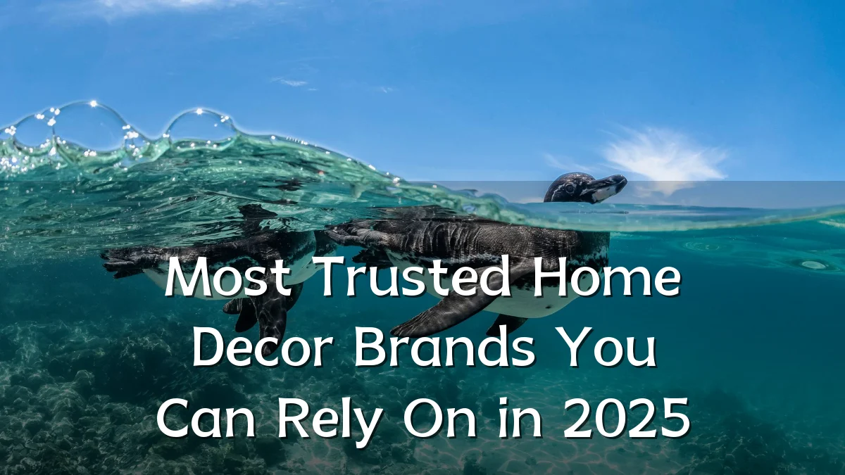Most Trusted Home Decor Brands You Can Rely On in 2025