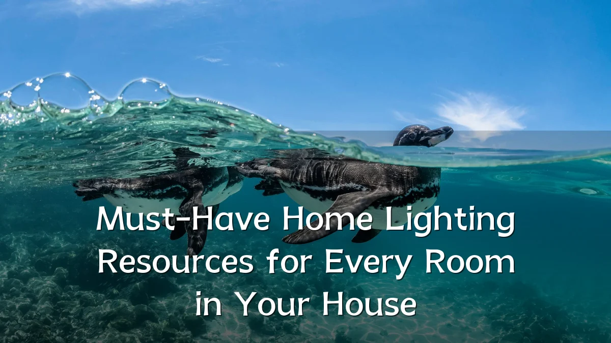 Must-Have Home Lighting Resources for Every Room in Your House