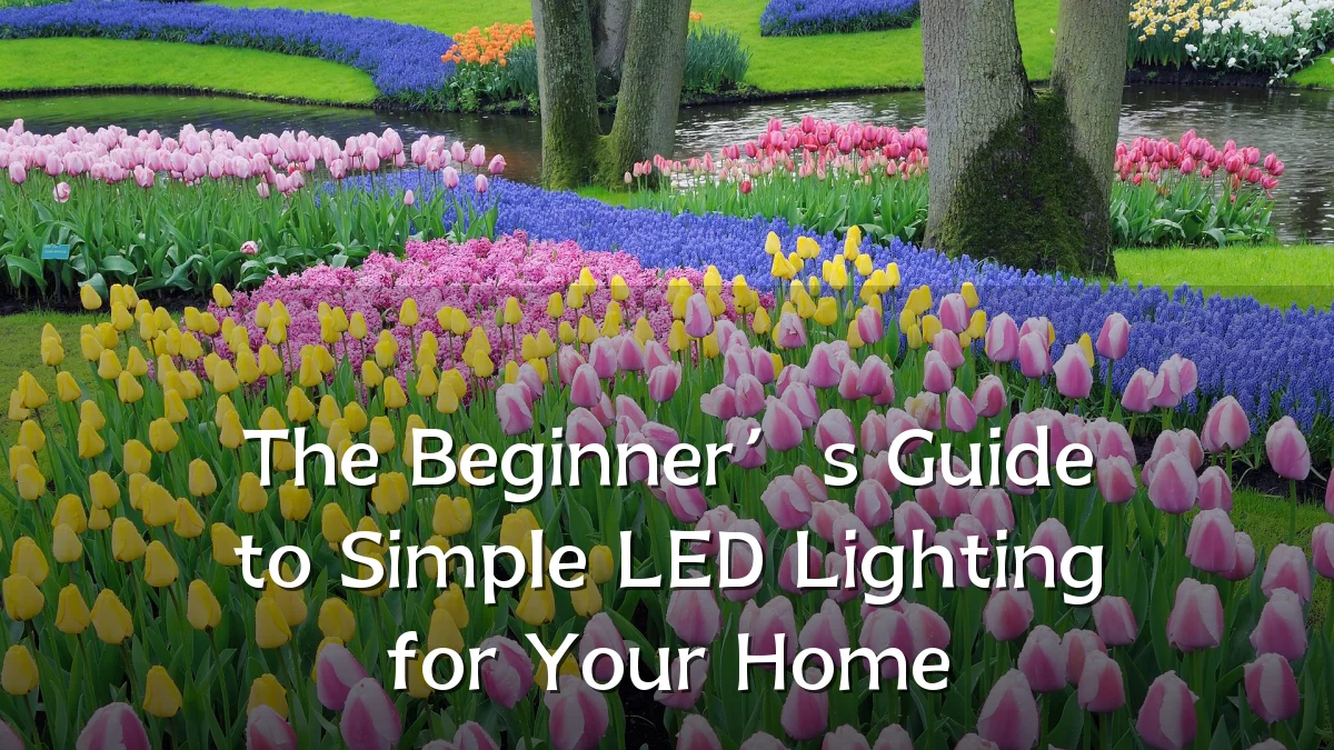 The Beginner’s Guide to Simple LED Lighting for Your Home