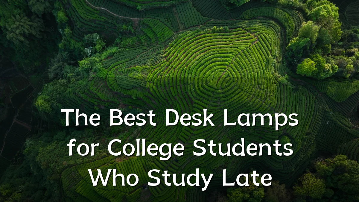 The Best Desk Lamps for College Students Who Study Late