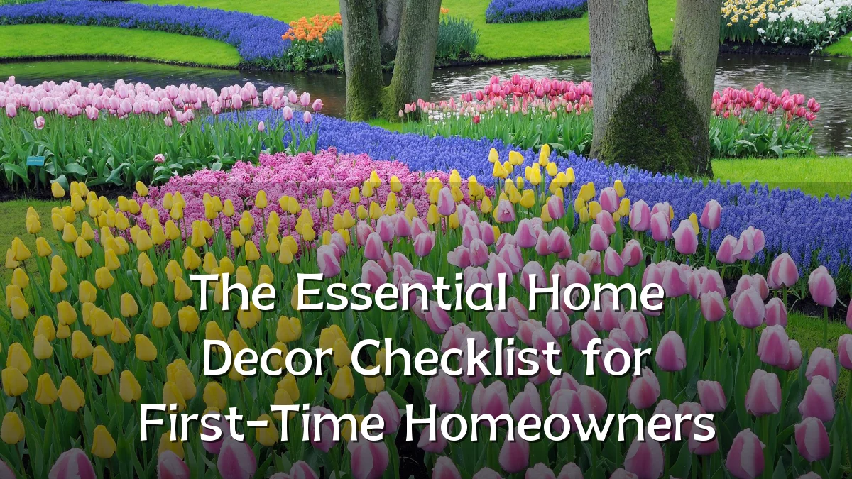 The Essential Home Decor Checklist for First-Time Homeowners