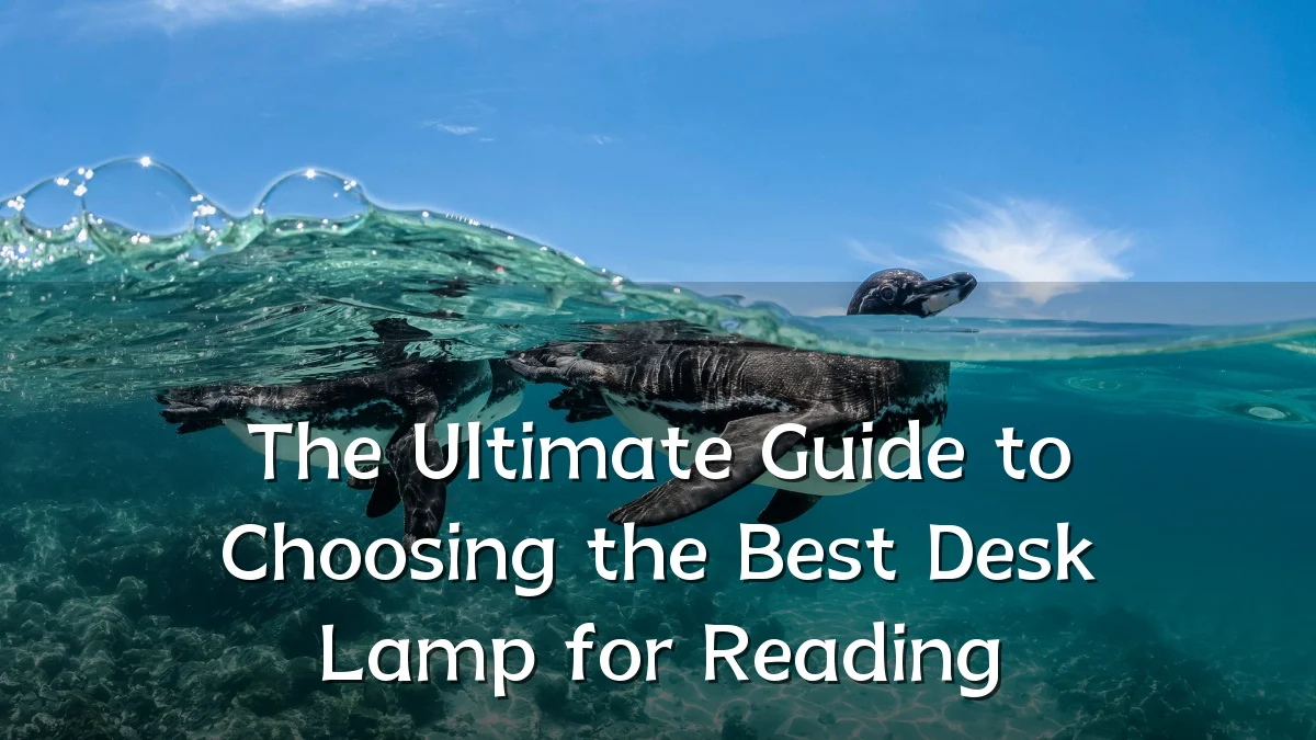 The Ultimate Guide to Choosing the Best Desk Lamp for Reading