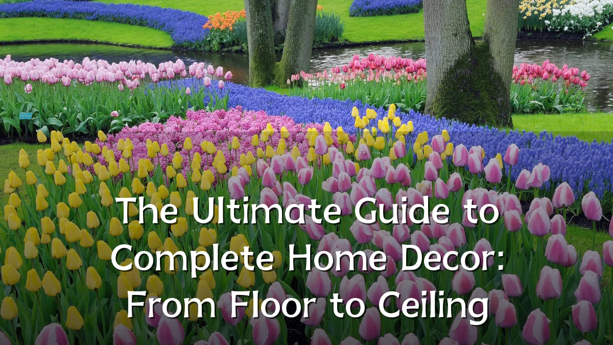 The Ultimate Guide to Complete Home Decor: From Floor to Ceiling