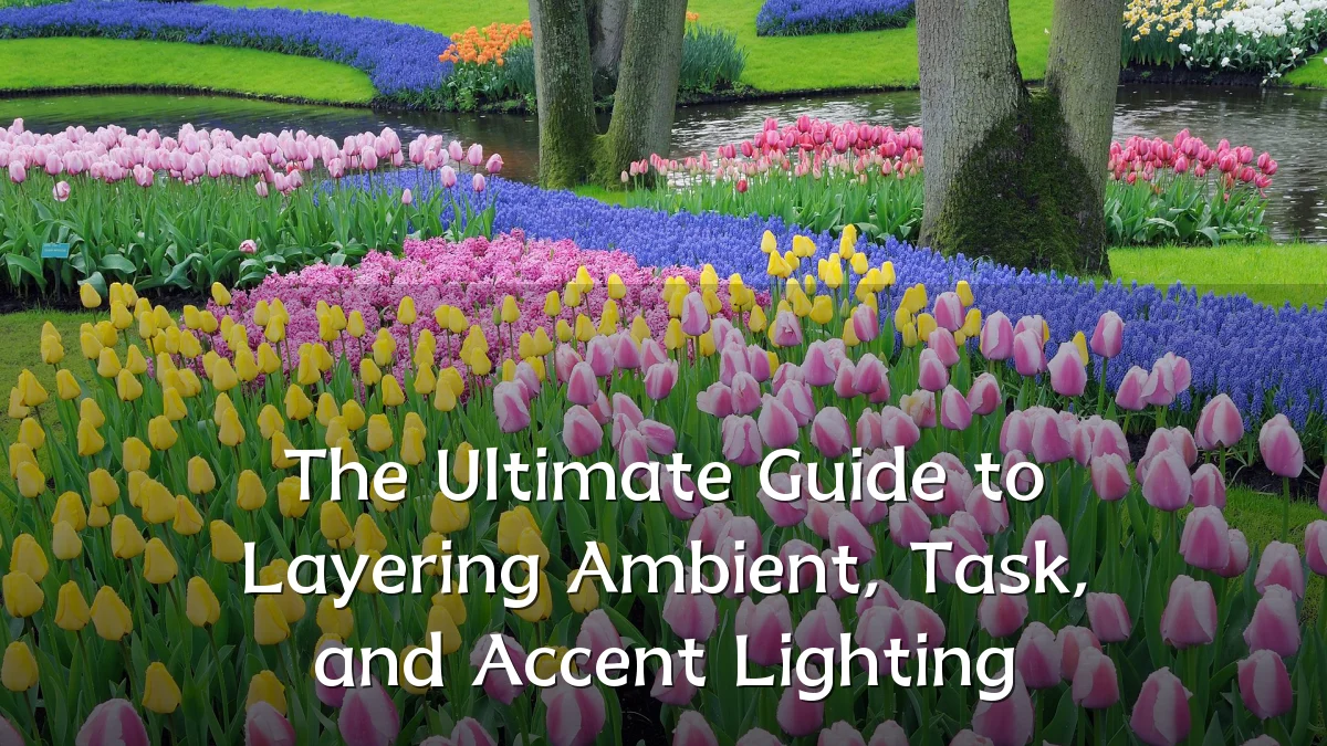 The Ultimate Guide to Layering Ambient, Task, and Accent Lighting