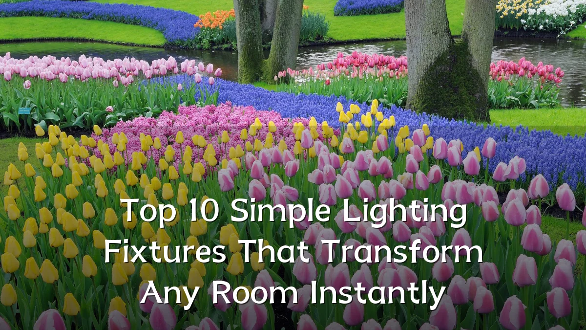 Top 10 Simple Lighting Fixtures That Transform Any Room Instantly