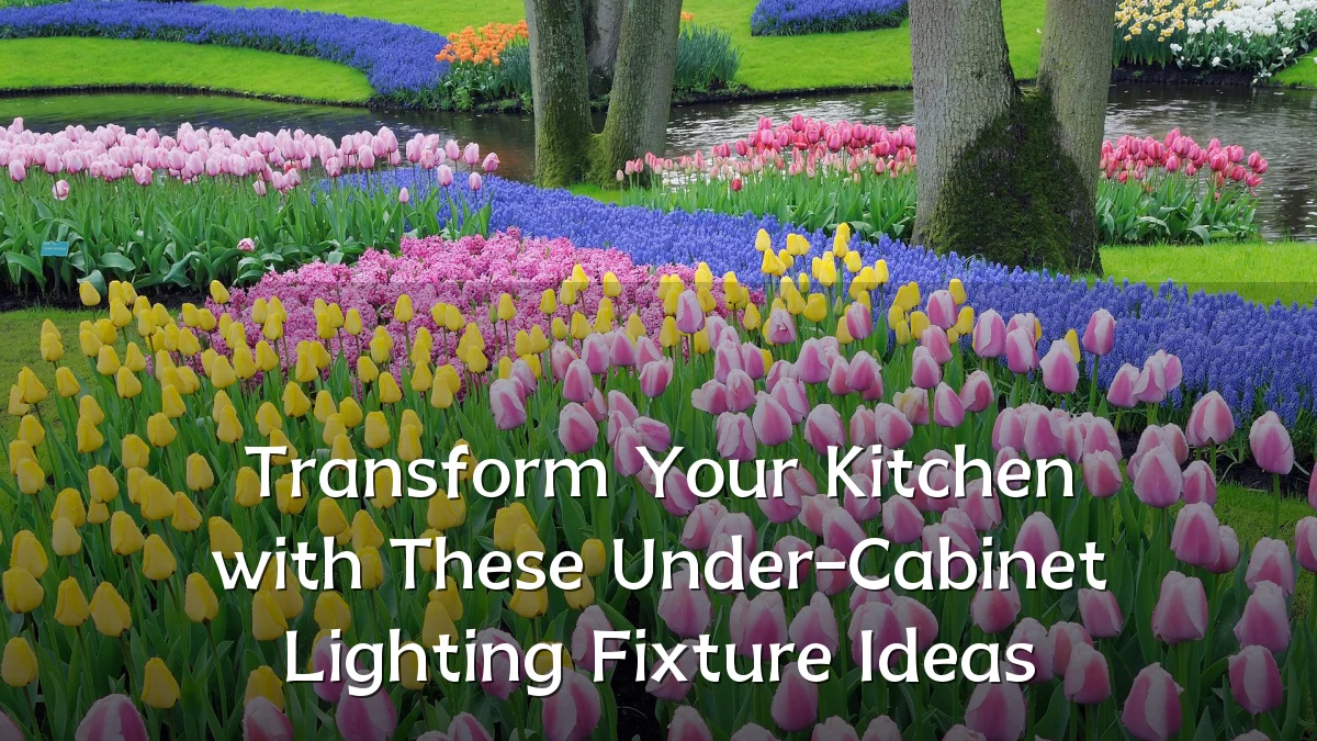 Transform Your Kitchen with These Under-Cabinet Lighting Fixture Ideas