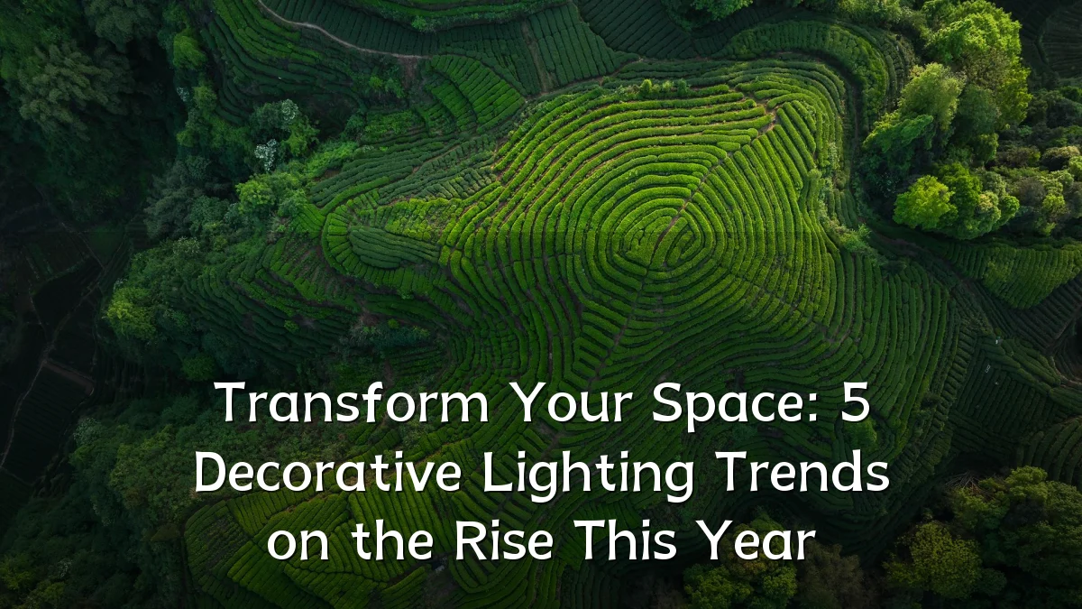 Transform Your Space: 5 Decorative Lighting Trends on the Rise This Year