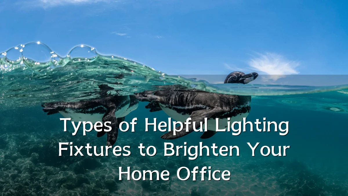 Types of Helpful Lighting Fixtures to Brighten Your Home Office